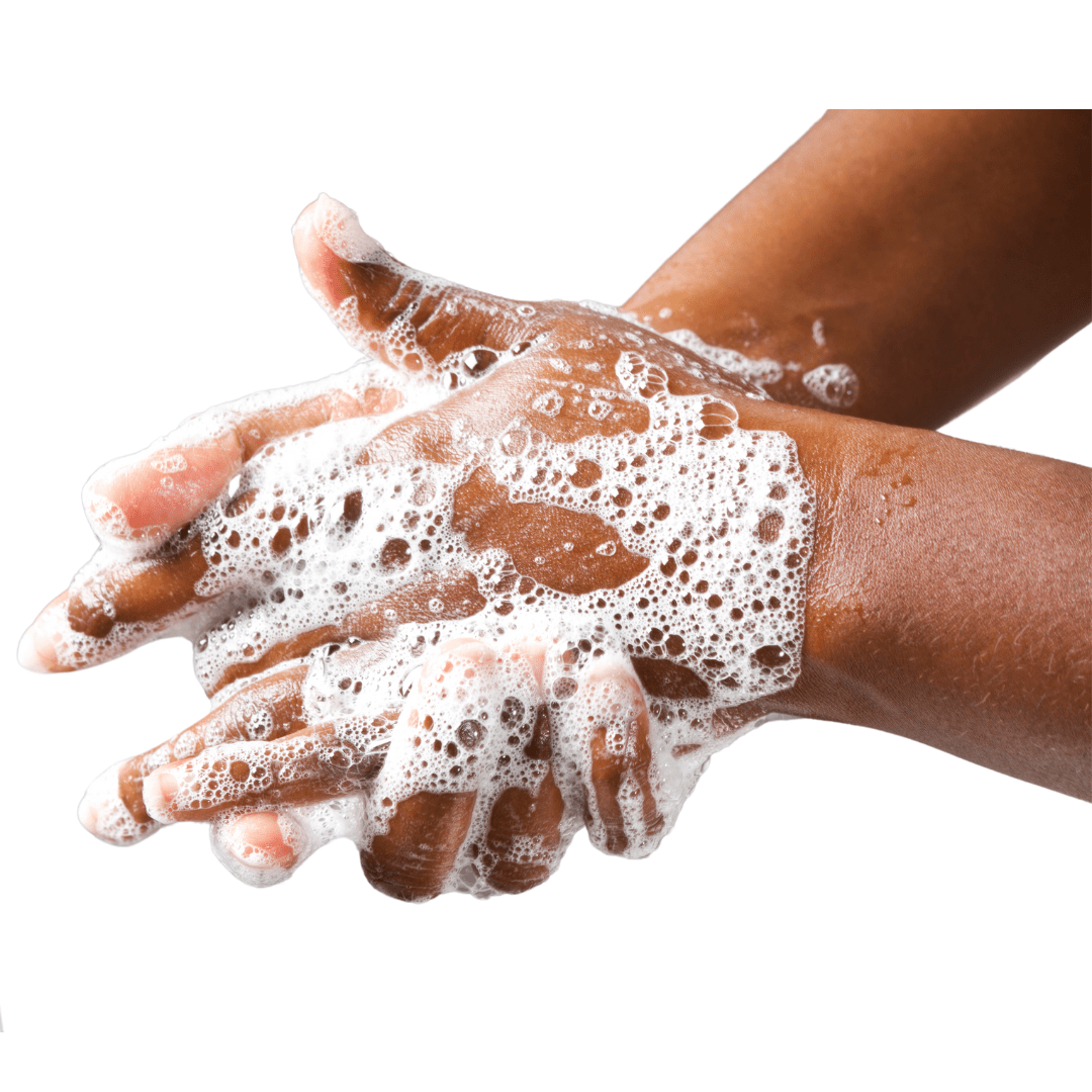 Black Plum & Rhubarb Soap Bar #skincare#