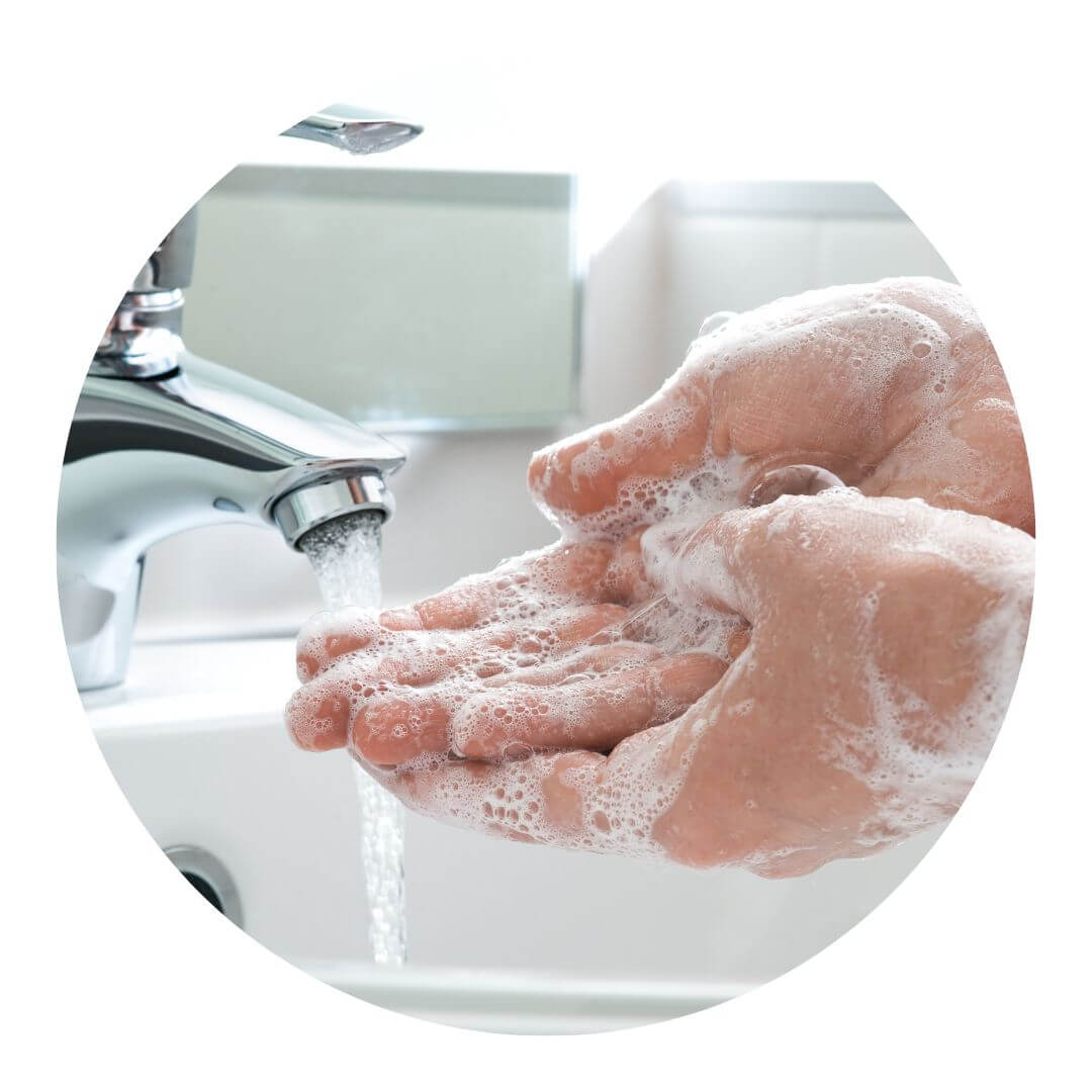 Citrus Burst Antibacterial Hand Wash With Lemongrass – Alchemy of Skincare